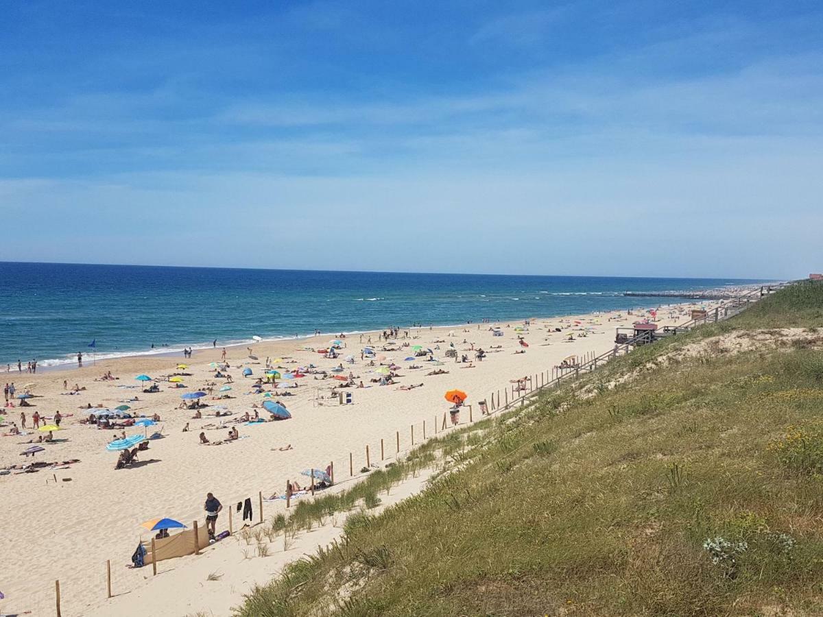 La Pinede Oceane,400M Des Plages 米尼赞海滩 外观 照片