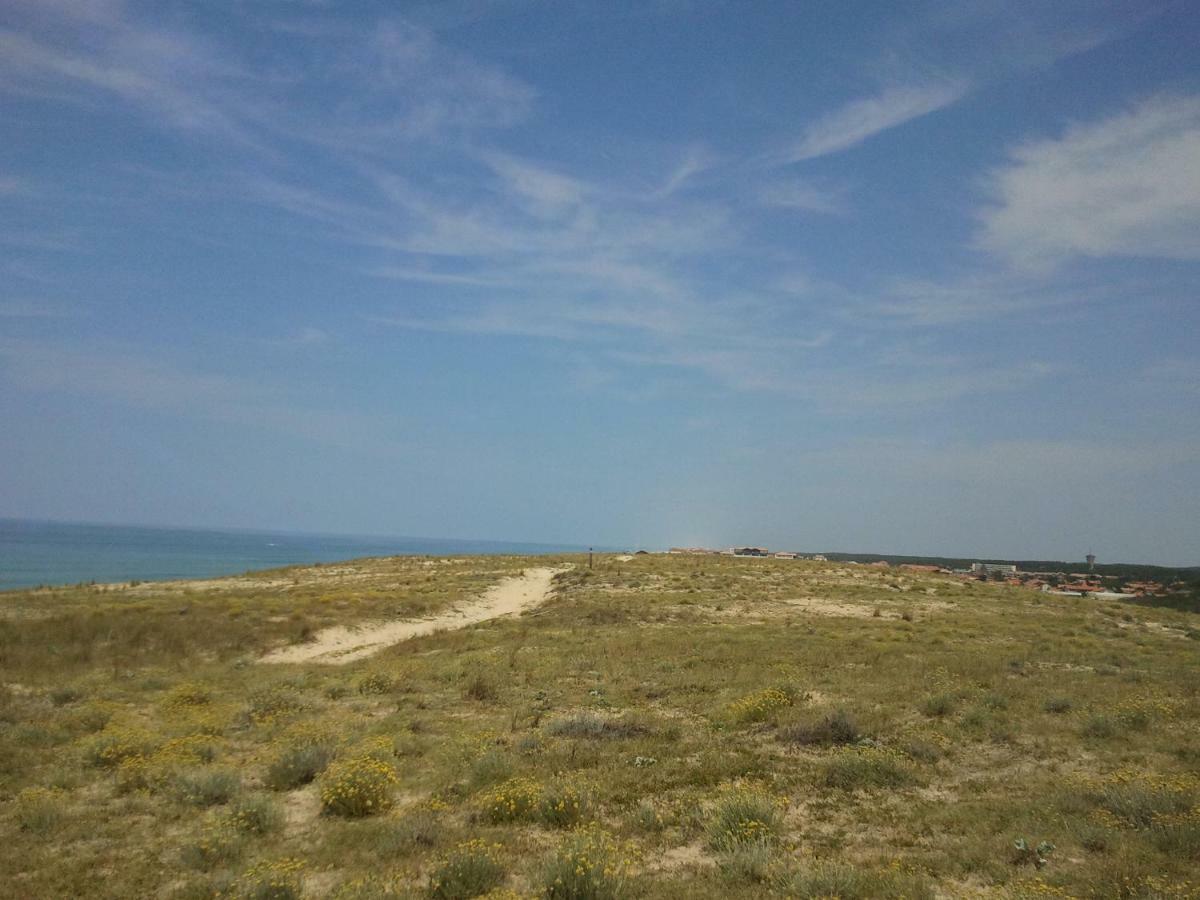 La Pinede Oceane,400M Des Plages 米尼赞海滩 外观 照片