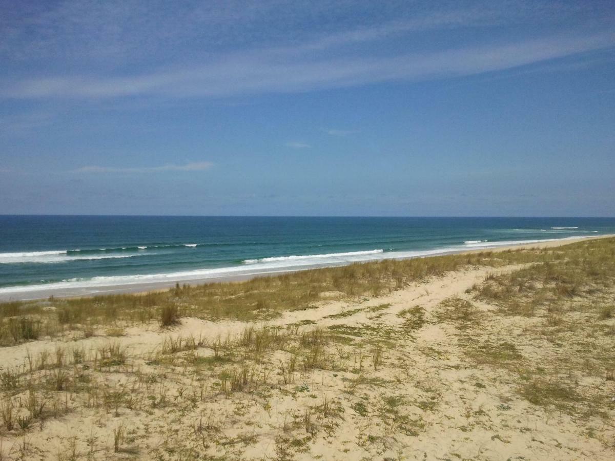 La Pinede Oceane,400M Des Plages 米尼赞海滩 外观 照片
